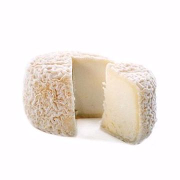 Picture of Crottin Champcol 12/60gm PRE-ORDER
