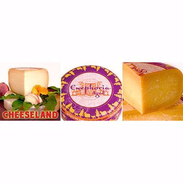 Picture of Ewephoria Sheepmilk Gouda Aged 1/9 lb