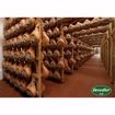 Picture of Devodier Prosciutto di Parma 1/15lb