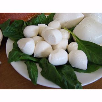 Picture of Maplebrook Mozzarella Ciligiene Tubs 2/3 lb
